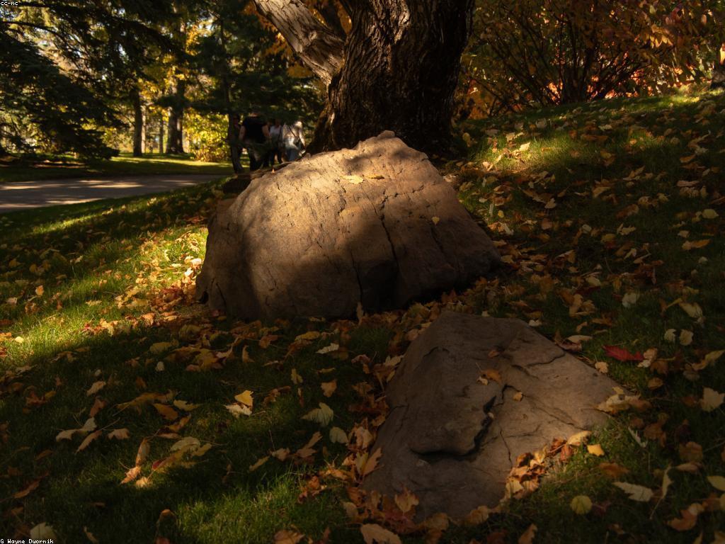 ការពិចារណាអំពីដំណឹងនិងព្រឹត្តិការ ក្នុងវប្បធម៌ខ្មែរ