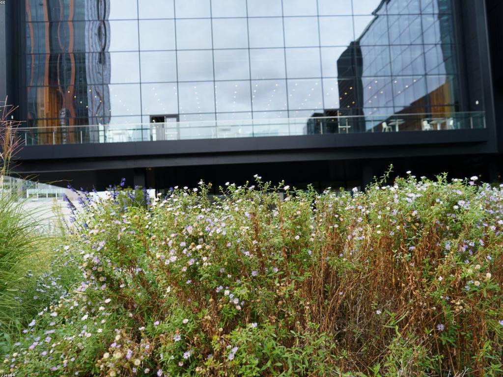 ដំបូងសម្រាប់អ្នកចាប់ផ្តើម: ការបង្កើតភាពជោគជ័យក្នុងការចាប់ផ្តើមអាជីវកម្ម